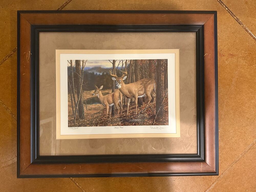Framed Randy McGovern "Secret Pond" Whitetail Deer Print Signed Limited Edition